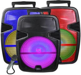 Unleash the Power: 12'' Rechargeable Bluetooth Speaker with Mic - ITEM # TT-SPIKE12